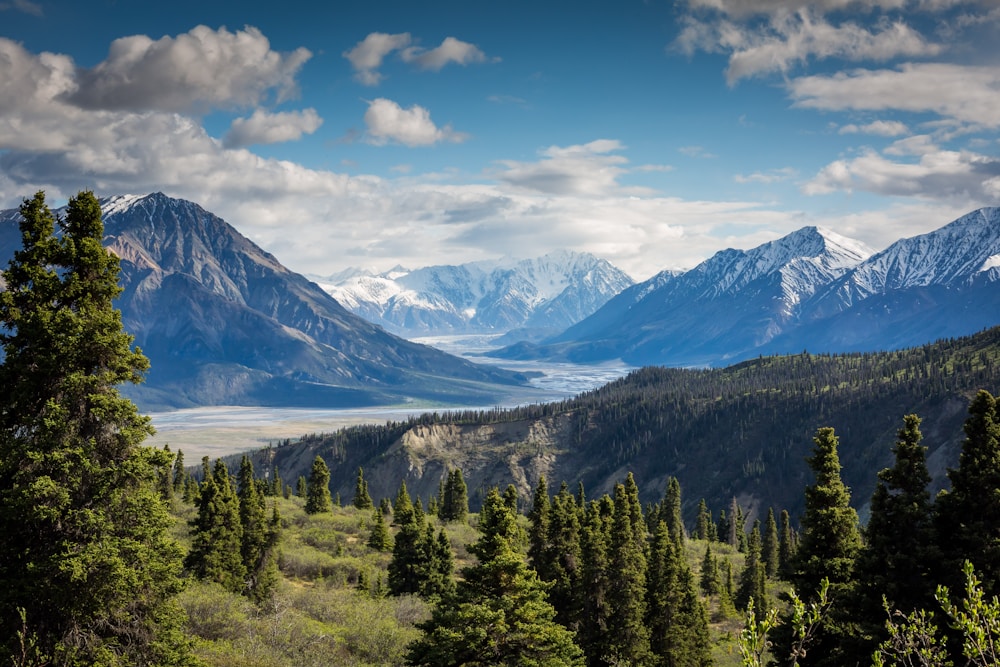 A peaceful mountain landscape with room to see the path ahead